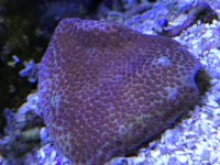 E3B551AD-4430-4AA9-84B9-24862B6D1D48.jpg