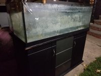 20181006_193652.jpg