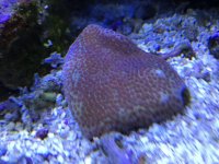 EC7A04AD-840E-4FD7-B1E3-9BBB9F09B4F9.jpg