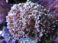 FBB7D572-3981-4E83-94A7-67DB39DF38D1.jpg