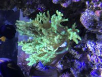 921BEFE3-A2E0-4C94-A9CC-91BD414BF4E4.jpg