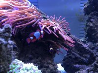 IMG_3086.jpg