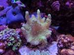 IMG_20190304_135338.jpg