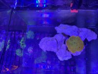 IMG_4868.jpg