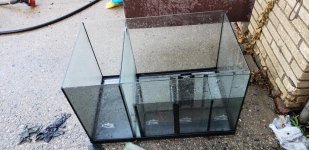 20180809_084635.jpg