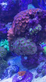 IMG_3987.jpg