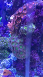 IMG_3989.jpg