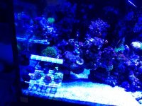 IMG_1606.jpg
