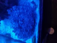 20190519_200959.jpg
