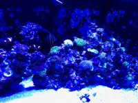 IMG_1607.jpg