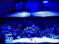 IMG_1604.jpg