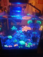 IMG_20180904_175941.jpg