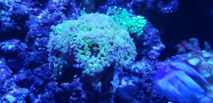 20190306_072722.jpg