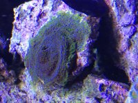 717918C8-2F93-45F5-B4E7-5E33ADC6A1B1.jpg