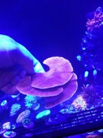 IMG_20190520_203721.jpg