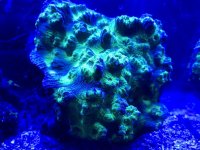 9E487F91-D10C-4C39-B67C-B661FDF8E68E.jpg