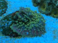 FCFBEC17-F786-4153-967B-37A0F55CB040.jpg