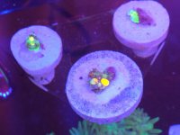 IMG_20181213_201344.jpg