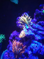 IMG_20190806_223416.jpg