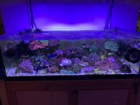21FAE1AD-A6E4-4665-AB0B-453C651EABD1.jpg