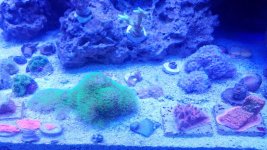 20190110_155431_resized.jpg