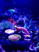 IMG_6352.jpg
