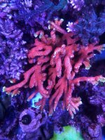 IMG_6354.jpg