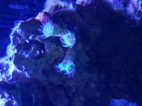 20190525_205458.jpg
