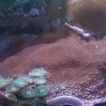 20190525_184046.jpg
