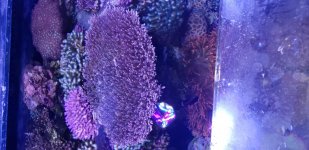 20190310_174755.jpg