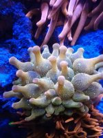 IMG_20190310_213418.jpg
