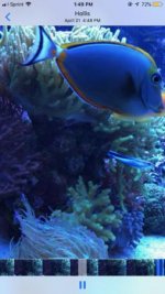 IMG_2103.jpg