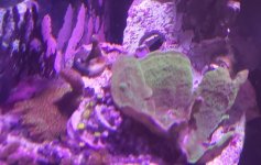 20190528_155910-01.jpg