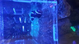 20180925_212710.jpg