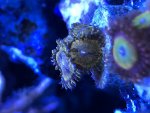 AF9E0C4B-4B79-4DC0-87BE-78FC6EB31EF1.jpg
