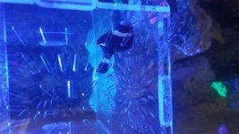 20180925_212711.jpg
