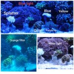 CollageMaker_20190528_160611191.jpg