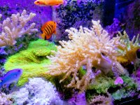 20181015_120505-EFFECTS.jpg