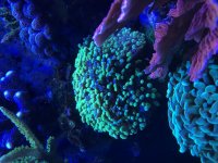 C7CDAB2F-4F68-4287-A44D-E0F41D5F9DC2.jpg