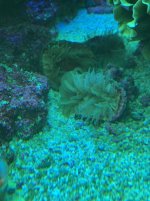 IMG_4204.jpg