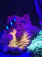 IMG_20190529_162906.jpg