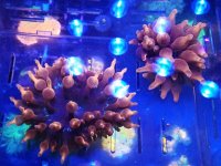 IMG_20190529_163320.jpg