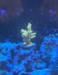 IMG_5150.jpg