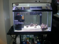 10G Holding Tank 004.JPG