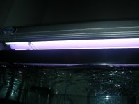 10G Holding Tank 005.JPG