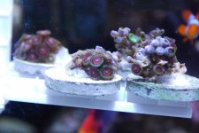 Copy of tank no.2 046.jpg