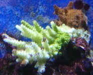 failedsystem 001.jpg