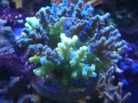 failedsystem 002.jpg