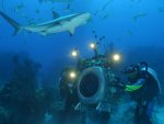 deepsea3d4_f.jpeg