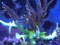 failedsystem 003.jpg